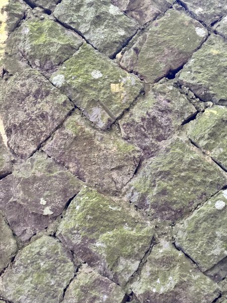 天母古道 + 紗帽山2913886