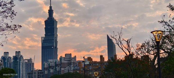 #虎山  #101大樓  #國父紀念館 #河津櫻 #中正紀念堂 2/193002668