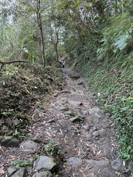 20250830台南關仔嶺大凍山步道2914701