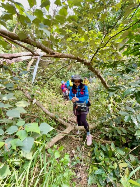 烏山嶺水利古道順走竹高崙山3連峰2669914