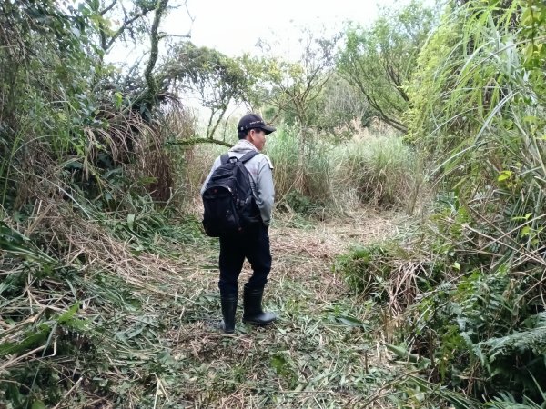 頭城鎮外大溪山+七兄弟山+窖寮山O型3016010
