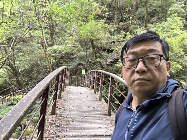 拉拉山神木群3044610