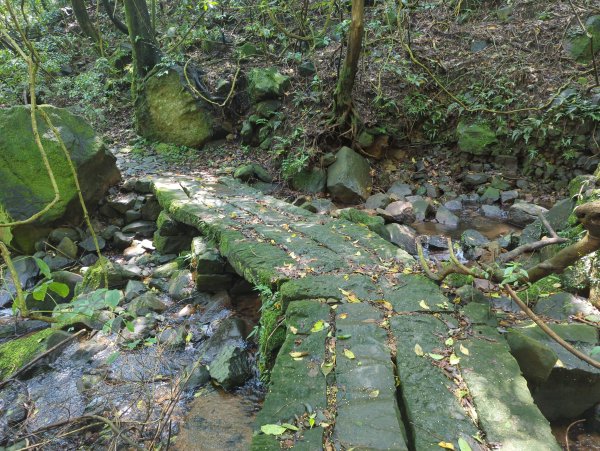 2025.04.27－金包里大路~小油坑縱走2770910