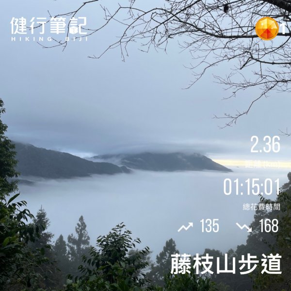 小百岳(68)-藤枝山-202212182053092