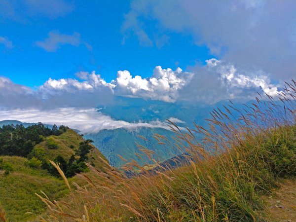 雪山主東峰探訪 美景盡收眼底 如癡如醉434388