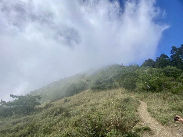 志佳陽大山單登封面