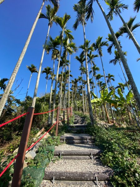 阿拔泉山稜步道走獨立山1618727