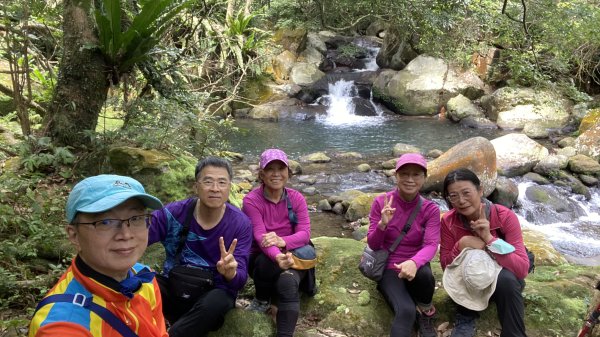 走青山瀑布探老梅冷泉|Qingshan Waterfall|秘境不秘|老梅瀑布|峯花雪月2561844