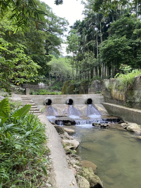 20250706-EP.08四寮溪生態步道-2025森遊竹縣皮皮獅探險隊2851868