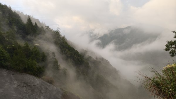 嘉義-特富野古道3120543