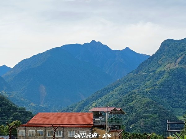 【南投信義】望鄉部落抬頭見玉山。 獵人古道連走、望美山、瓊山2274294