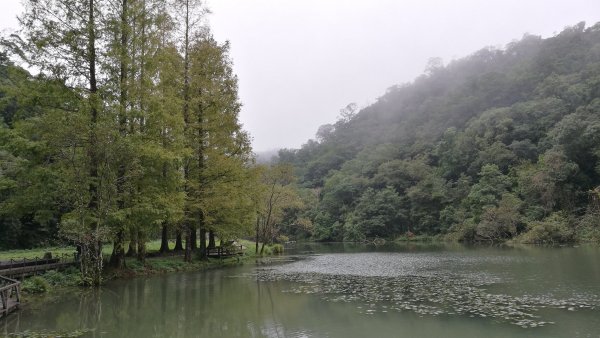 1071110福山植物園、望龍埤環湖步道458464