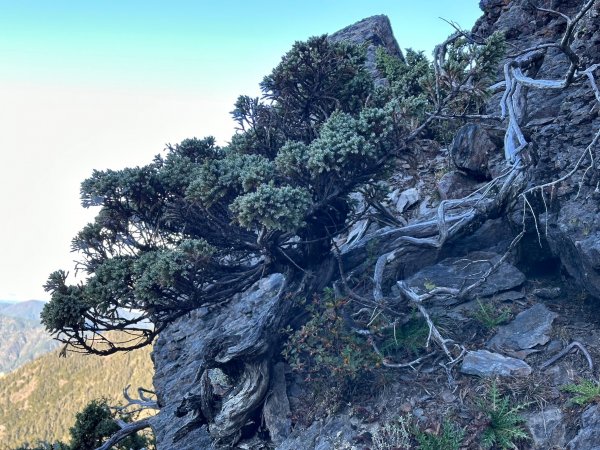 登上百岳之首玉山主峰2343894