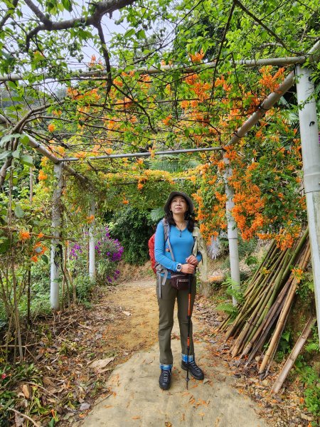 112/2/23龍鳳連稜2148212