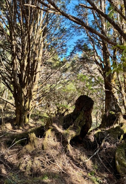 三星山(小百岳#85) 鳩之澤溫泉煮蛋趣2953232