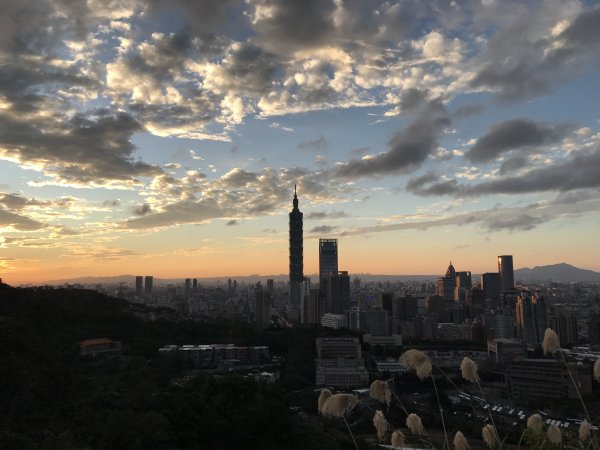 虎山夕照封面