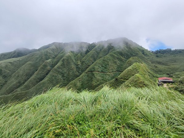 抹茶山 - 三角崙山/聖母山莊步道-小百岳#83-宜蘭縣礁溪鄉2238686