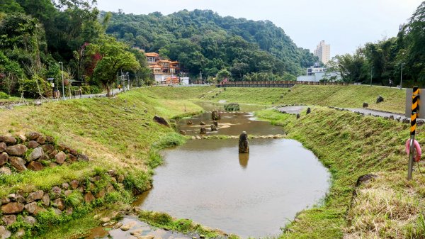 《臨江仙・碧山巖櫻花》2714213