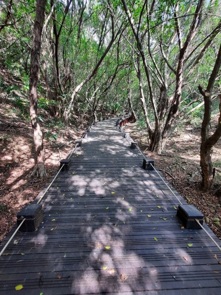 《台中》大肚環保公園登山步道、望高寮賞景1055272