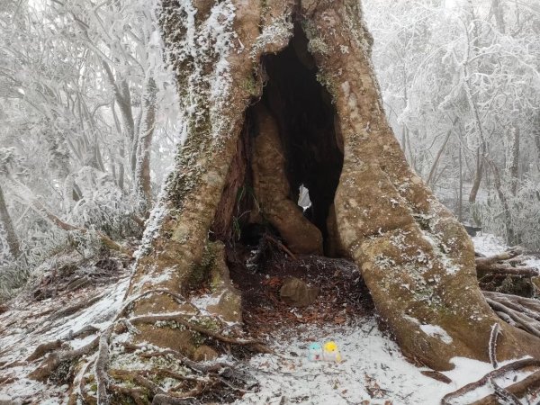 雪季北得拉曼2956401