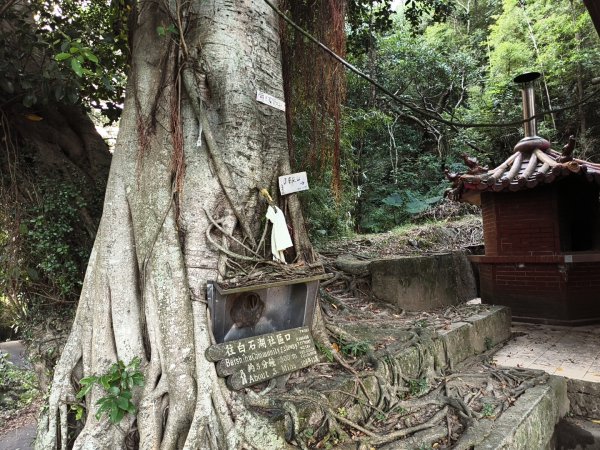 [百山百鳥尋旅-13/15] 2025_0929 圓覺寺步道2900784