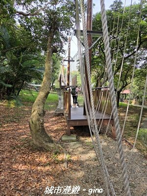 【台中北屯】大坑1號步道3095051