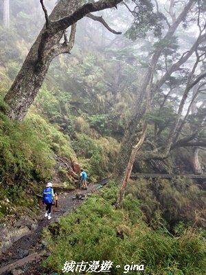 【南投信義】排雲山莊 x#15百岳_玉山西峰3111631