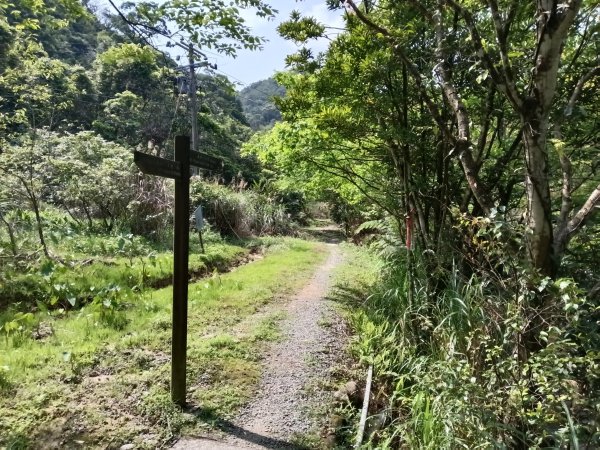 五指山古道+友蚋山南峰2757050