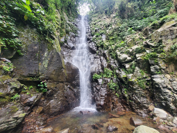 鹿角坑生態保護區，楓林瀑布（原路來回）需申請入園