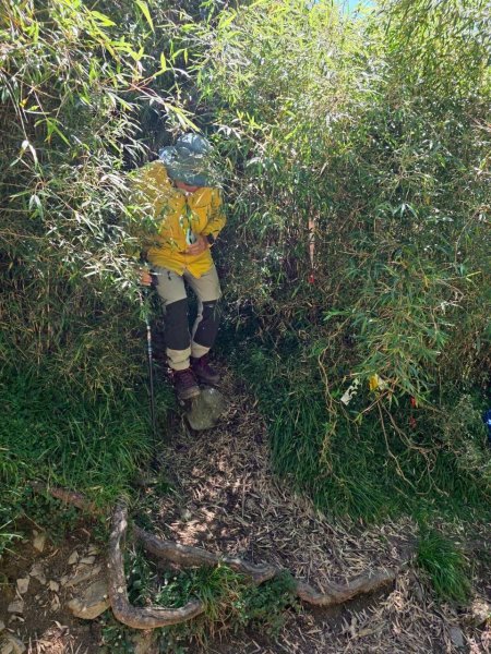 北一段(04/14)中央尖山 2025_0906~132885392