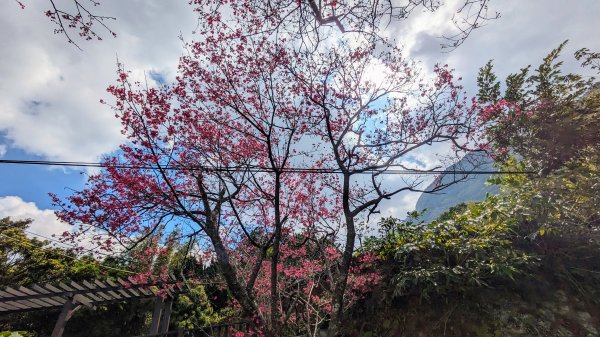 天元宮,楓樹湖,北新庄,淡水老街2430295