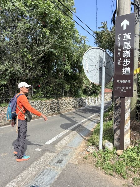 草尾嶺步道血藤花大爆開    2025.3.272748133