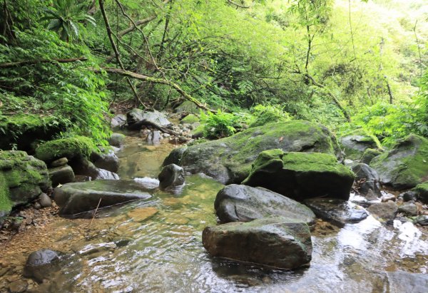 菁桐古道-磐石嶺古道2799105