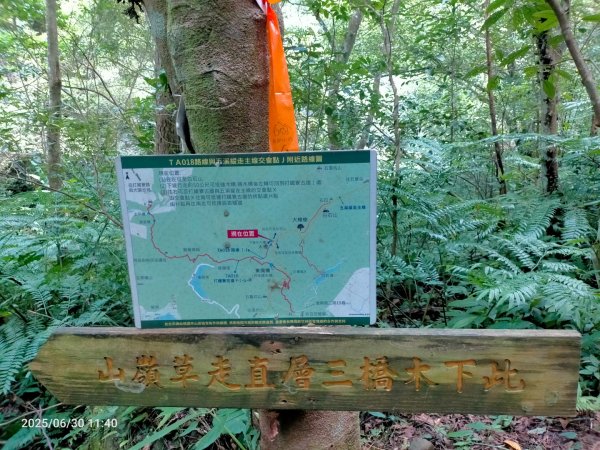 白石湖+打鐵寮古道2824173