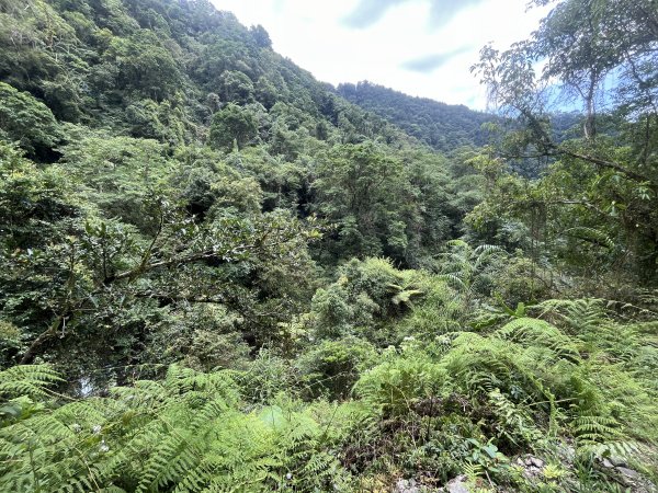 2025_0713 松羅步道2836825