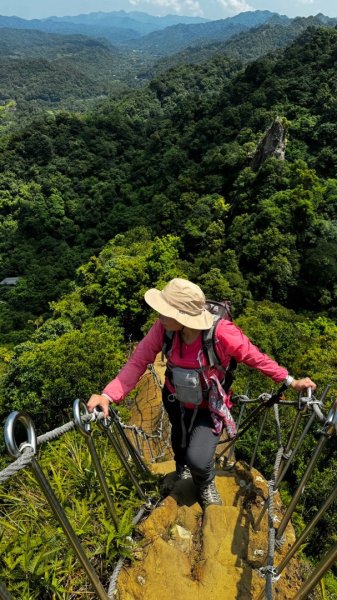 孝子山、普陀山、慈母峰賞鹿子野百合O走2592911