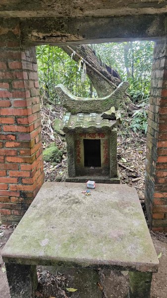 20260323后番仔坑山-內平林山-新路尾山-頂坑山-三貂嶺中心點3023694