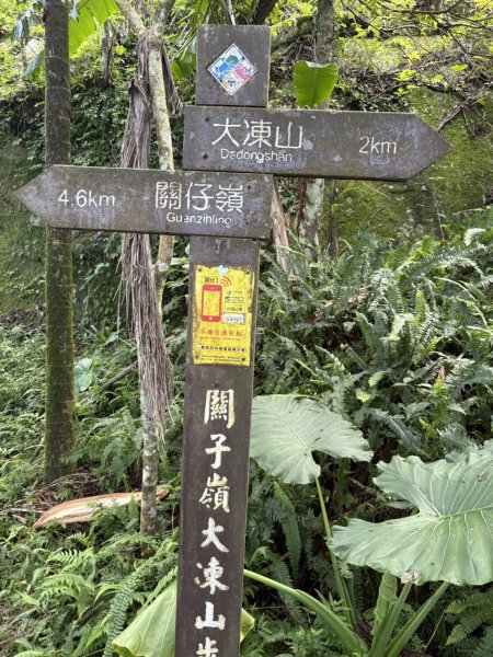 20250830台南關仔嶺大凍山步道2914686