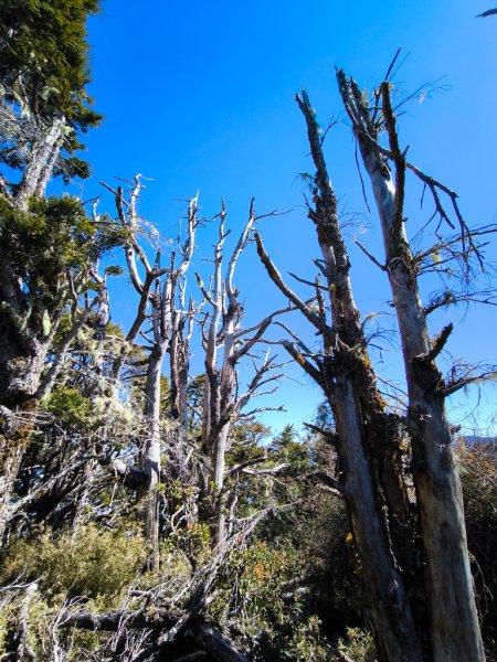 2026-02-09 庫哈諾辛山2998960