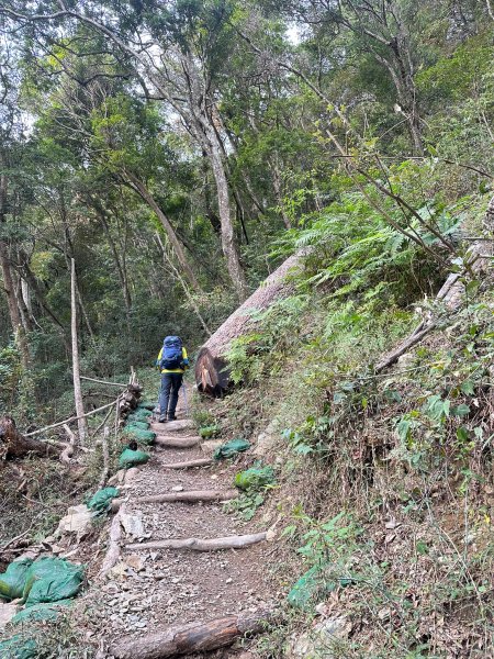 20221230 谷關七雄-八仙山單攻(二訪)2315609