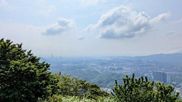 大尖山。走向2770860