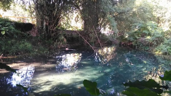 2018 12/2 拉索埃湧泉879498