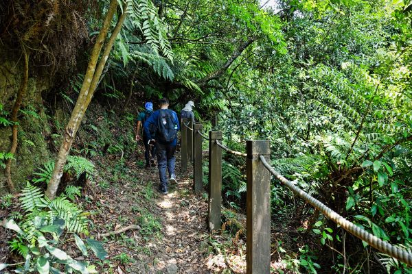 新山夢湖。五指山古道O型20180524338239