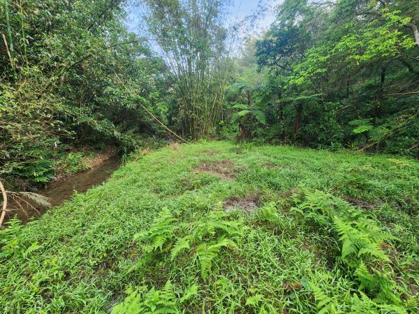 20250404雙十縱走失敗撤退改走蝙蝠山2892548