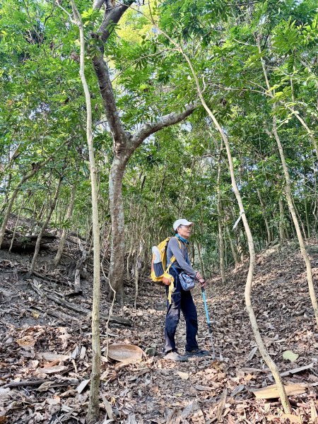 16年後重逢糖子恩山   2026.3.253026319