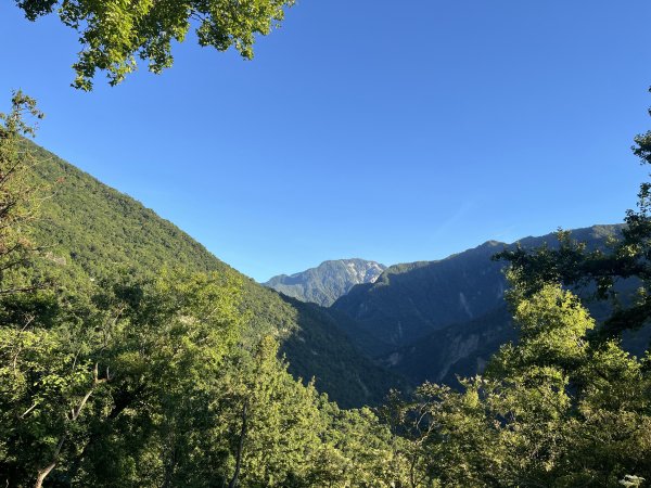 [玉山尋寶任務-03/12] 2025_0810 瓦拉米步道2857373