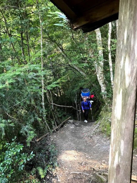 雪白山&司馬庫斯神木201908031965042