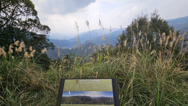 開眼崙步道，坪林老街2483048