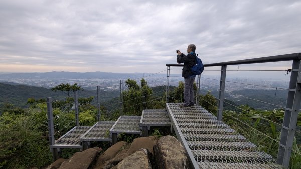 115.05.01天上山-桐花公園之旅3052133