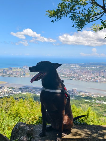 帶著毛孩去爬山-20250817